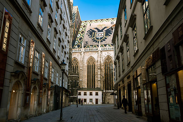 Vienna, Austria - January 06, 2015 - St. stephen's cathedral roof in vienna: iconic gothic architecture under clear blue sky.