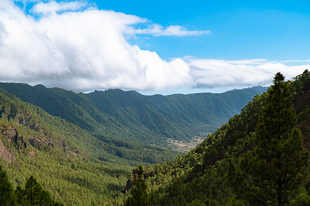 istock Green Valley Landscape Cloudy Sky Azores Islands 2243574496