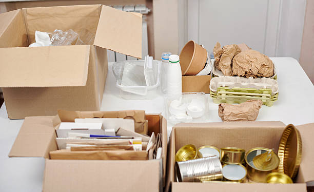 istock Plastic and paper waste segregation, waste sorting, waste recycle. Garbage separation concept. 2243579084