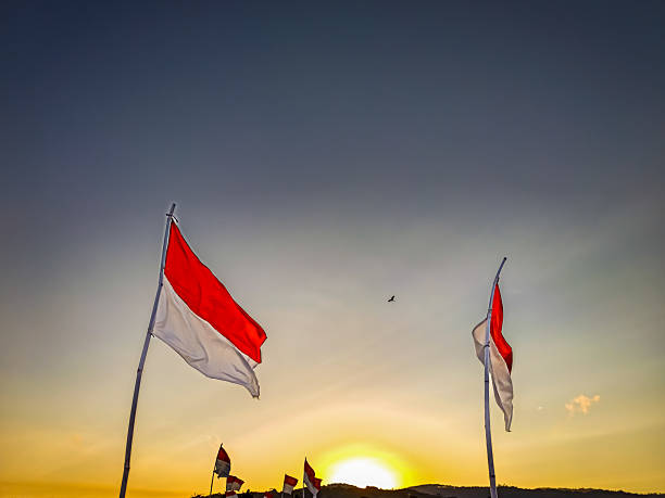 istock Indonesian national flags waving at sunrise 2243584383