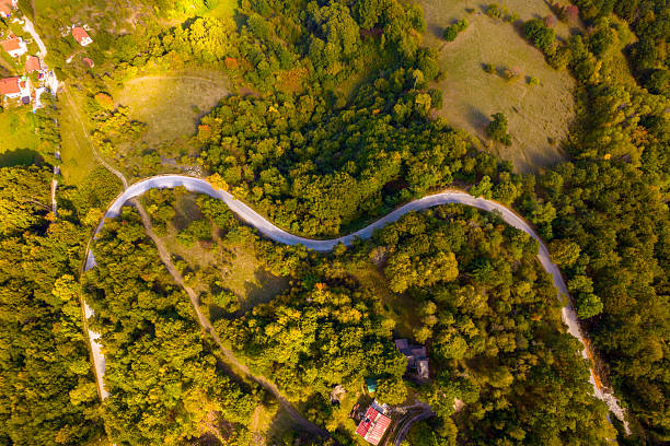 Aerial view of a curvy country road passing through vibrant fall trees