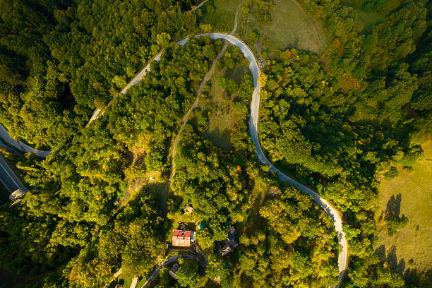 Aerial view of a winding road curving through a vibrant green forest at sunset