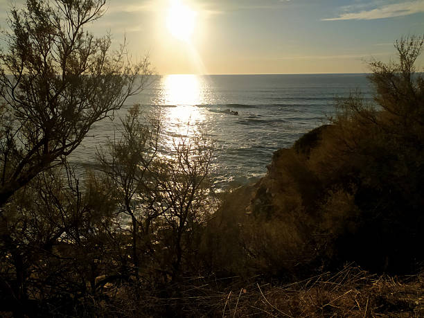 istock Serene coastal scenery featuring a bright sun reflecting on the ocean. Silhouette trees in foreground add depth. Ideal for travel, peace, nature themes. 2243587645