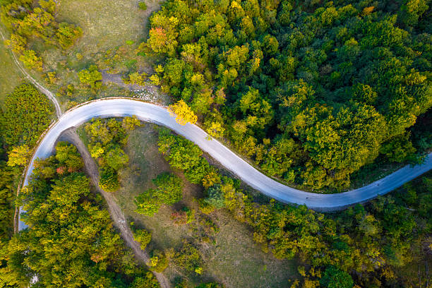 istock Winding road curving through an autumn forest landscape 2243587668