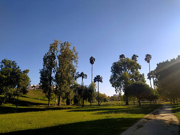 istock Scenic park landscape featuring lush green grass, tall trees, and a clear blue sky. Ideal for conveying tranquility, nature, recreation, or urban escapes. 2243587729