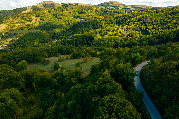 Aerial view of a country road curving through dense trees and meadows in a rural mountain landscape