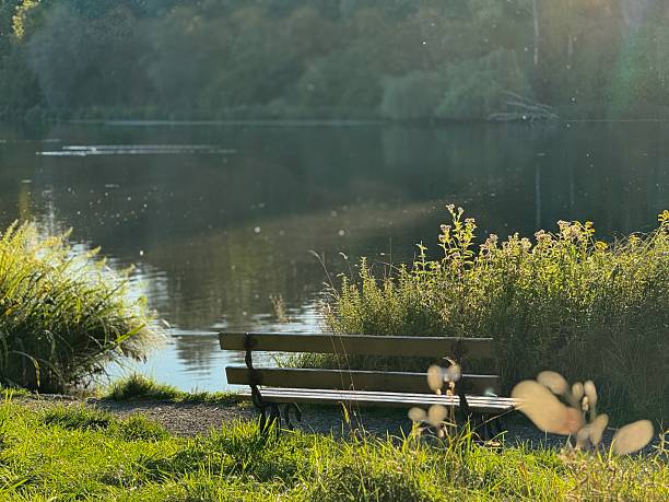 istock Wooden bench sits on a grassy field next to a lake 2243590992