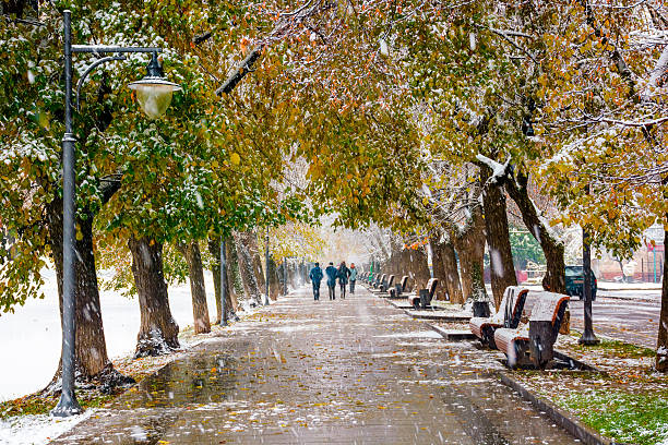 uzhhorod, ukraine - 29 nov 2020: linden alley in autumn first snowfall. leaves and snow cover wet street. trees in colorful foliage. empty benches on the embankment. beautiful urban landscape