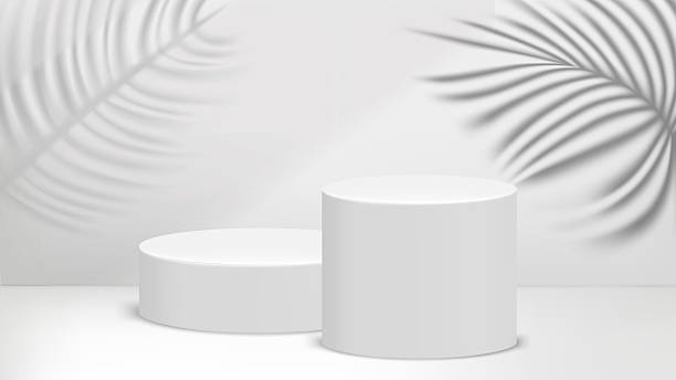 istock White room with white podium with plant shadows. 3d vector template for product design 2243592694