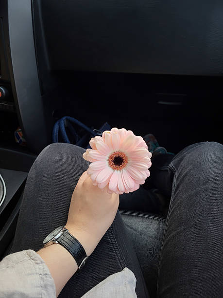 istock Flower in the hand 2243592914