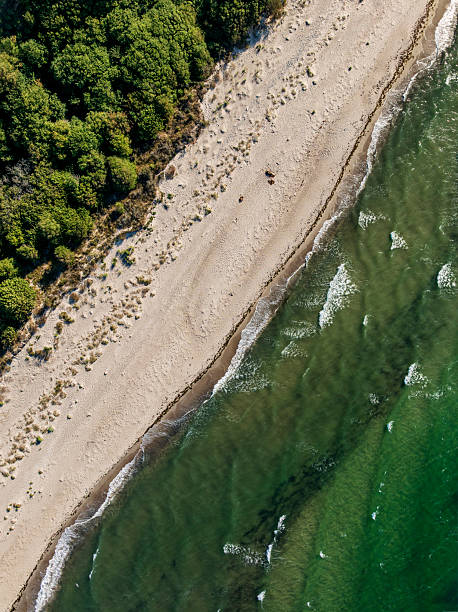 Drone’s eye view of where the forest meets the sea. Photographed on the island of Moen in Denmark.This type of landscape is common in Scandinavia where the ancient forests meet the Baltic Sea and every year storms wash away the soil from the roots and the trees fall into the sea.