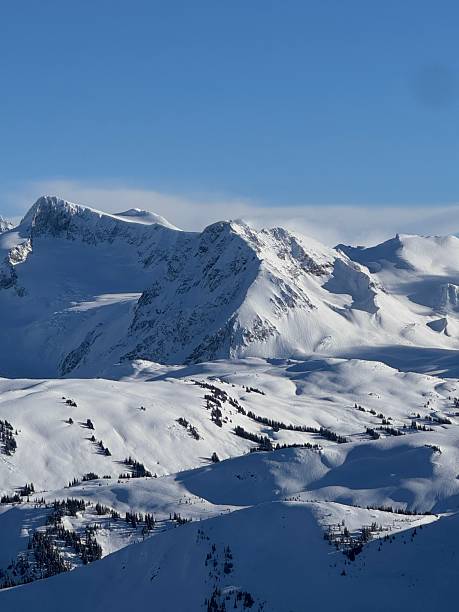 Expansive alpine landscape showcasing rolling snowfields and rugged peaks under a deep blue sky. Perfect for illustrating the beauty of winter mountain environments.