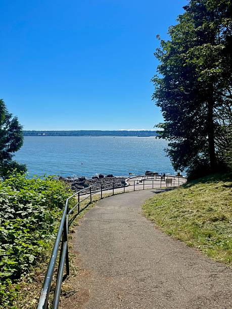 istock Scenic Pathway Leading to Rocky Coastline and Ocean View 2243595658