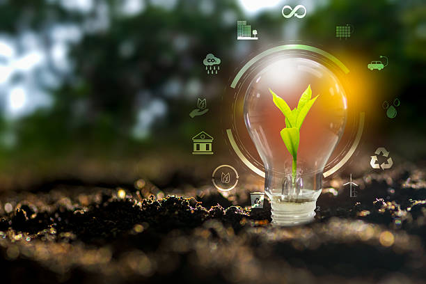 istock Renewable energy concept Earth Day or environment protection Hands protect forests that grow on the ground and help save the world. 2243597116