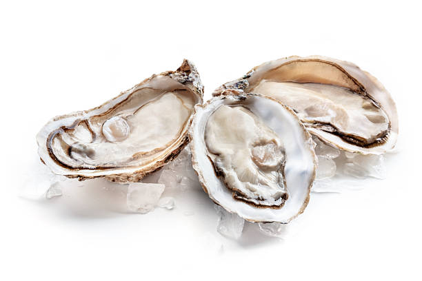 Fresh raw oysters on ice, on a white background, a seafood delicacy, gourmet food