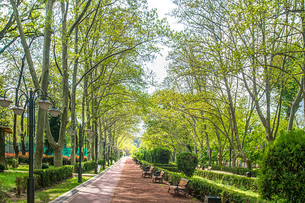 istock Awe park VAKE in Tbilisi 2243602883
