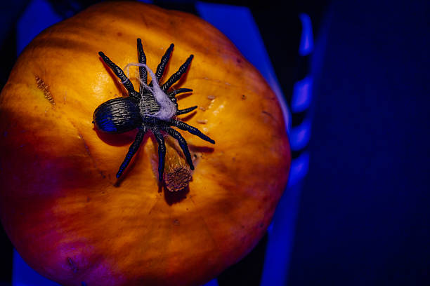 istock Orange pumpkin with a realistic spider decoration on top, illuminated by blue light, creating a spooky Halloween atmosphere for festive celebrations 2243607323