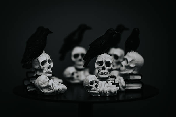 istock Decorative skulls with black crows arranged on a dark surface, creating an eerie Halloween atmosphere with a touch of gothic elegance 2243607362