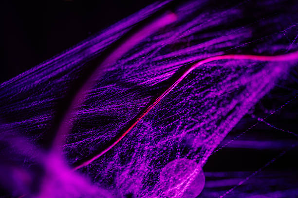 Close-up of intricate spider web illuminated in vibrant purple light, creating an eerie atmosphere perfect for Halloween-themed visuals