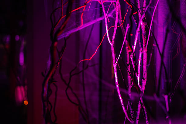 Twisted branches are bathed in vibrant purple light, creating an eerie ambiance ideal for Halloween decorations and enhancing spooky atmospheres