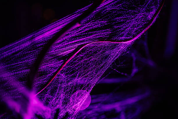 istock Spooky purple spider web glistens in the dark, creating an eerie atmosphere perfect for Halloween decorations and themed events 2243607683