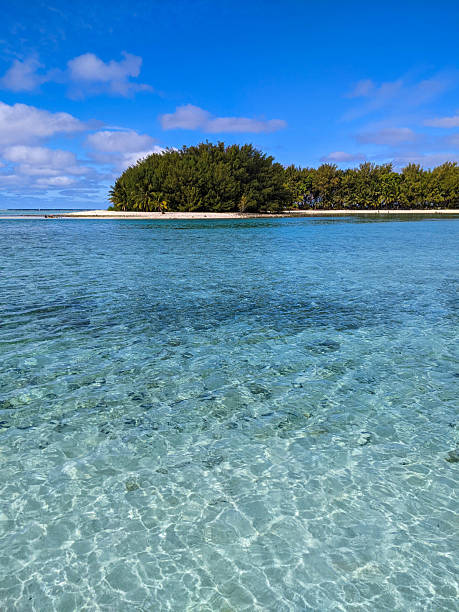istock Island off Muri Beach, Rarotonga 2243607721