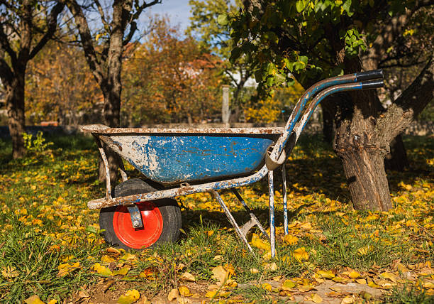 Old wheelbarrow in a autumn yard. Old blue wheelbarrel in a yard. Old yard tools.