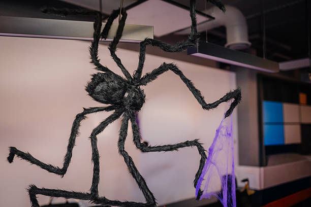 istock Large black spider decoration hanging from ceiling with purple webbing, creating a spooky atmosphere for Halloween festivities and celebrations 2243609119