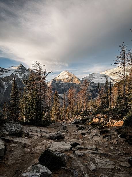 Photo of a mountain in the Canadian Rocky Mountains mountain range in Canada, North America.