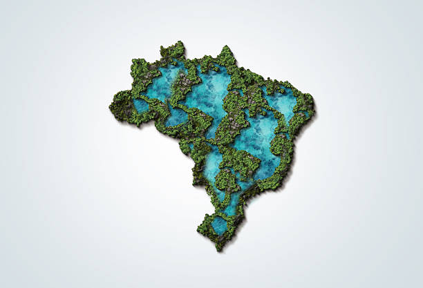 Brazil country 3D Map Top View. Brasil map with green trees isolated on white background.