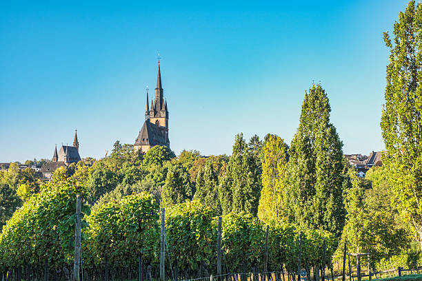 Hike through the vineyards of the Rheingau with a view of the St. Valentinus and Dionysius Church in Kiedrich