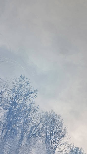 istock reflection of tree branches in water, abstract blue background texture with grunge brush strokes and water drops 2243620033