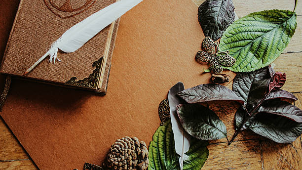 istock Vintage Composition Featuring a Closed Antique Book, White Feather, and Decorative Nature Elements 2243620830
