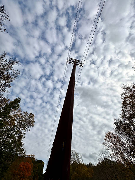 istock Vertical EX wide angle tall metal power line pole surrounded by trees under cloudy sky 2243621037