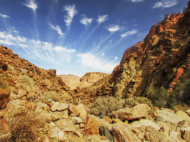 The Fish River Canyon is over 160km long, up to 700m deep, and 27km wide, making it the second largest Canyon in the World.