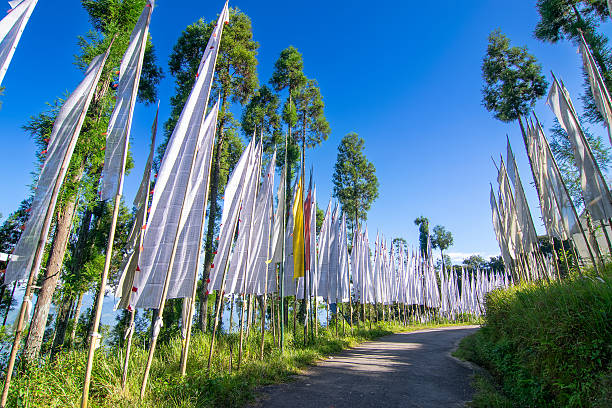istock White prayer flags, Buddhist religious symbol, representing air and symbolizing purity, wisdom, and the cutting of ignorance - with sunlit morning light. 2243627557