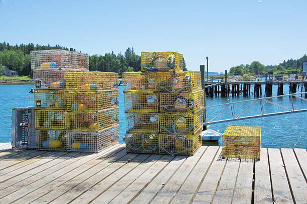 istock Lobster traps stacked on docks in coastal Maine 2243627793