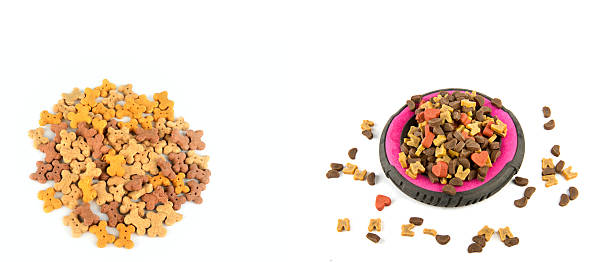 istock Dog Biscuits and Dry Pet Food in a Bright White Studio Shot 2243631624