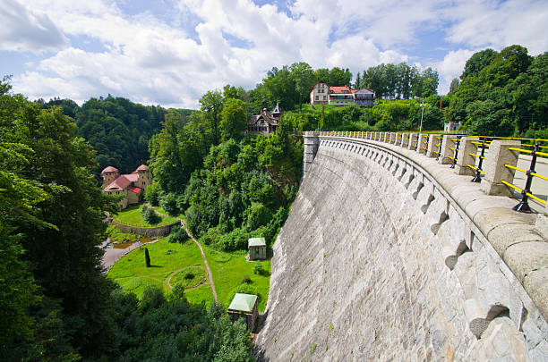 Experience the grandeur of a massive concrete dam, nestled amidst vibrant green trees. A testament to engineering prowess, offering a scenic view of industrial power and natural beauty.