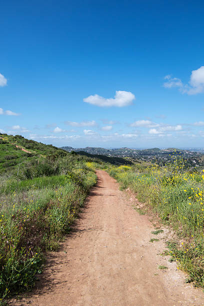 istock Hiking Trail Orange County California Vertical View 2243633852