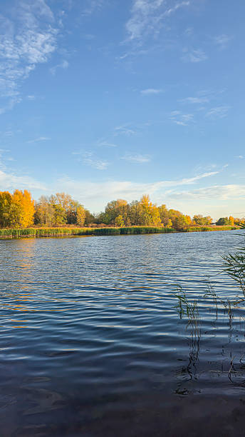 istock A deep river surrounded by trees and plants. Reed beds. Boats on the water. 2243634281