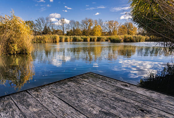 A wood bridge over a lake with trees in the background. The water is calm and the sky is blue