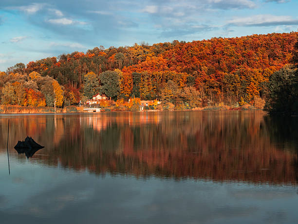 Colorful autumn forest reflected on the still surface of a lake under a clear blue sky. Peaceful seasonal landscape ideal for travel, nature, and relaxation concepts.