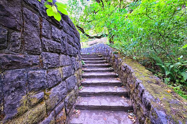 Stone steps leading through lush greenery in a serene park setting.