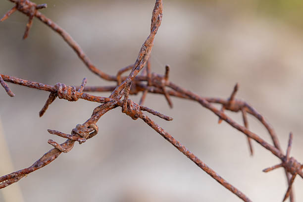 istock Pieces of old rusty barbed wire 2243646790