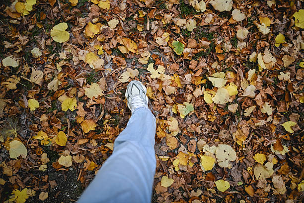Person walking on autumn leaves in a park