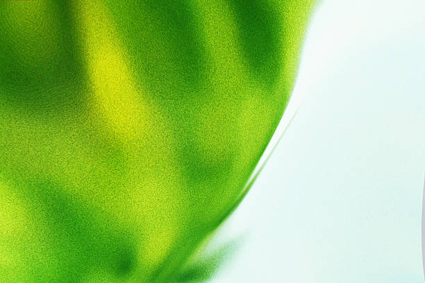 istock Abstract smooth shapes soft grainy texture green background for banner, poster, covering,web page, landing page , wallpaper design 2243653339
