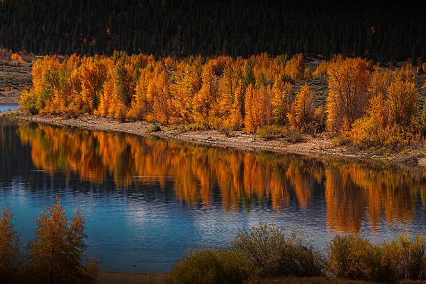 istock Autumnal Trees Reflected in Lake 2243653990