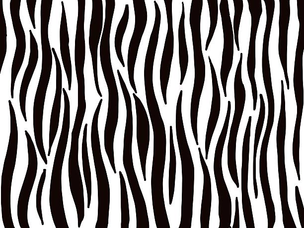 istock Zebra stripe pattern. For fashion prints, home decor, digital backgrounds, and creative branding projects 2243654097