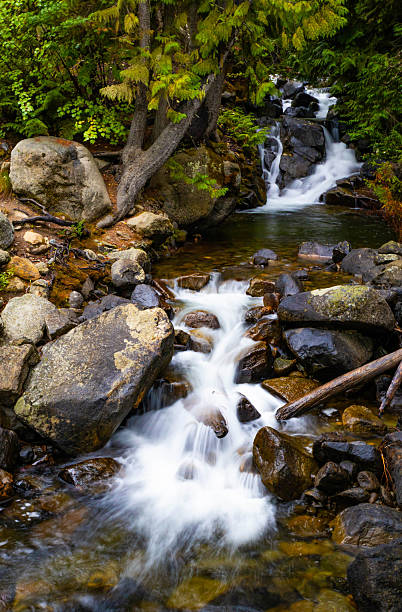 istock Scenic Forest River in Okanogan-Wenatchee National Forest 2243655388